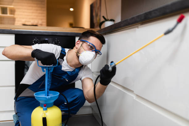 Best Affordable Pest Control Services  in Oxoboxo River, CT