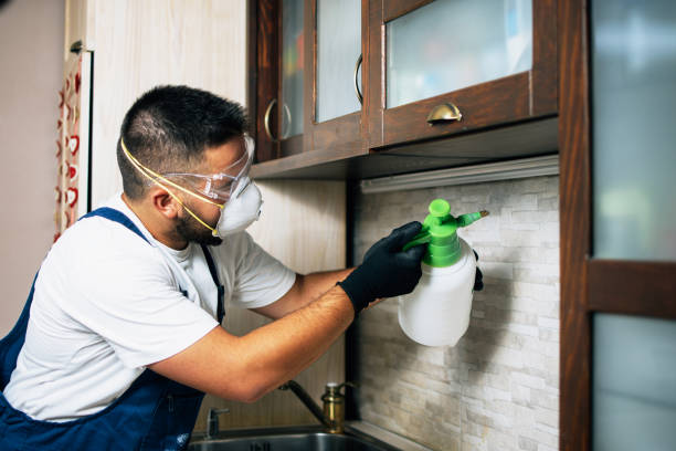 Best Mosquito Control Services  in Oxoboxo River, CT