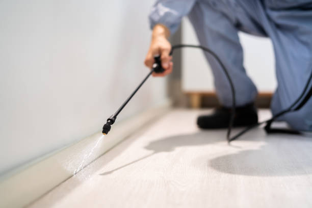 Best Pest Removal Services  in Oxoboxo River, CT