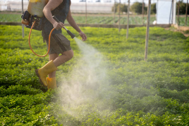 Best Best Pest Control Companies  in Oxoboxo River, CT