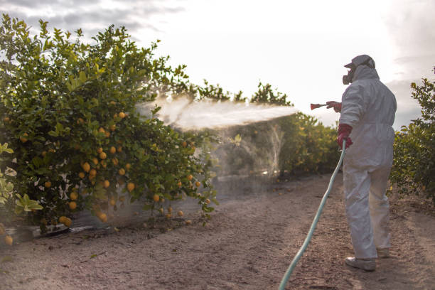 Best Wasp Removal Services  in Oxoboxo River, CT