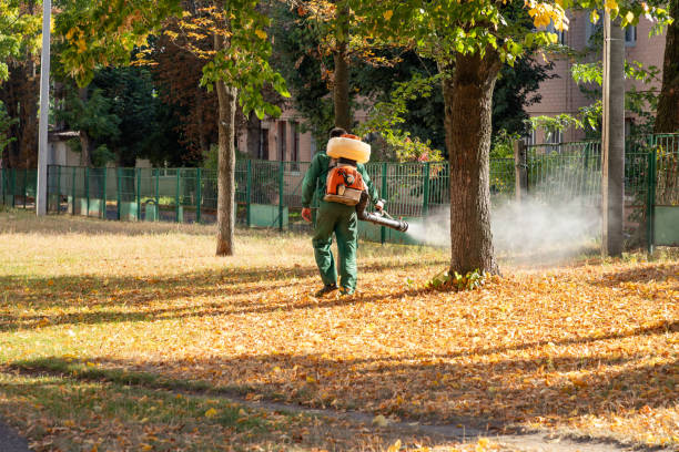 Best Local Pest Control Services  in Oxoboxo River, CT