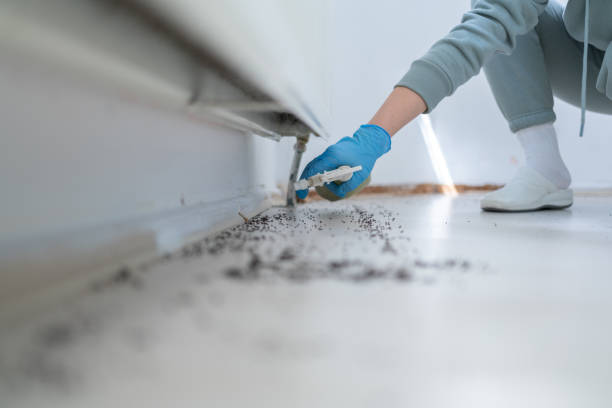 Pest Control Cost in Oxoboxo River, CT
